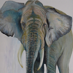 Olifant 300x300